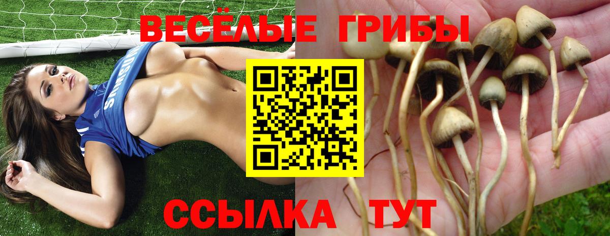 Галлюциногенные грибы Psilocybine cubensis  Вход с VPN  купить наркотик  Псилоцибиновые грибы Psilocybe  Грязи 